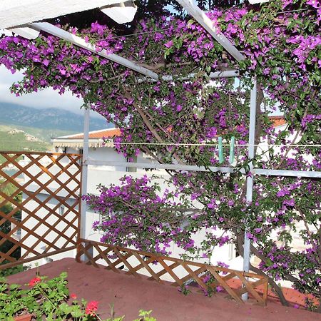 Apartment Sandra Budva Bilik gambar