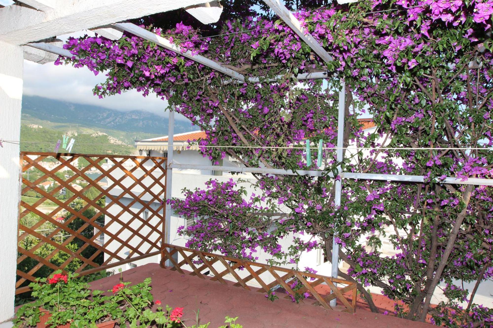 Apartment Sandra Budva Bilik gambar